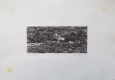 OMICCIOLI GIOVANNI (Roma, 1901