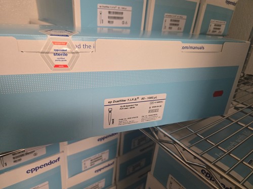 Eppendorf 1000ul doppio - eppendorf,