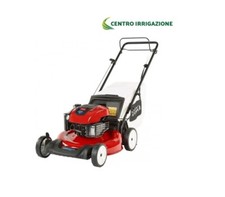 Rasaerba Tg 53cm -briggs &