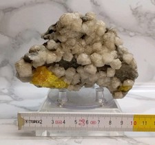 Mineral~Fluorescent Aragonite