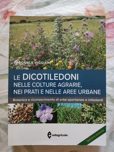 Viggiani le dicotiledoni - -,