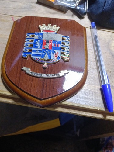 Crest militare esercito - crest,
