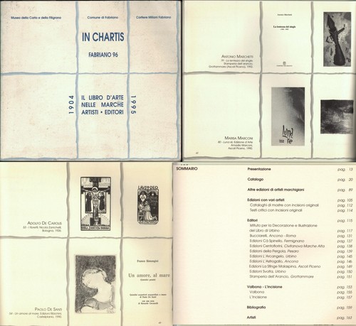 Libro arte nelle - libro,