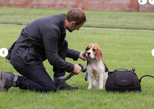 Nuovo sistema di risciacquo