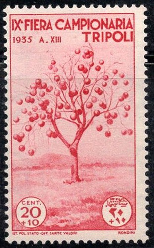 Libia italiana 1935 sass - libia, 133