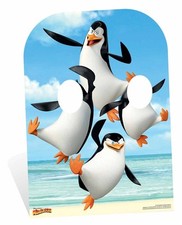 Cardboard cutout madagascar - cutout, of
