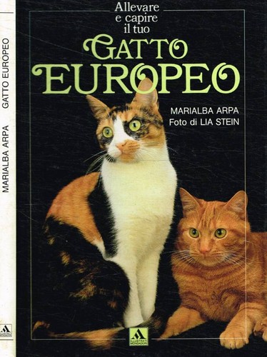 Gatto europeo arpa - europeo.,