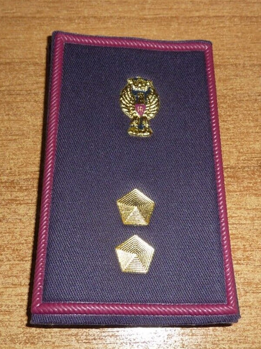 Ispettore polizia gradi - polizia,