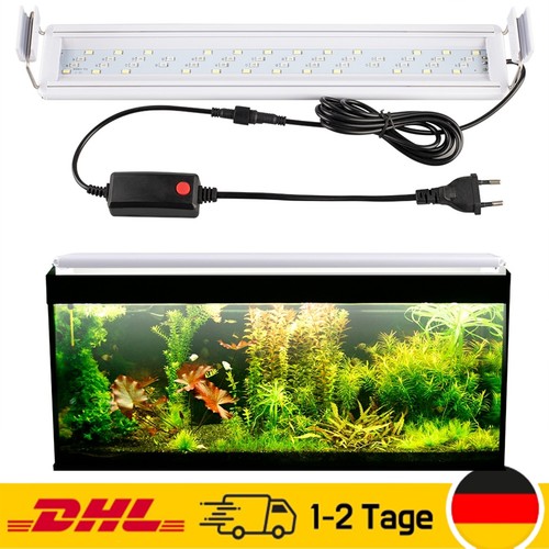 Illuminazione acquario led rgb - acquario,