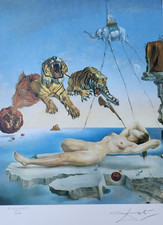 SALVADOR DALI Dream Caused by