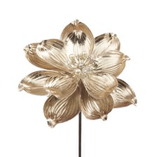 L'Oca Nera - Il Giardino Delle