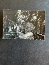 CARTOLINA MONCALIERI - CONVALESCENZIARIO FIAT  - LA PASSEGGIATA - VIAGGIATA 1952