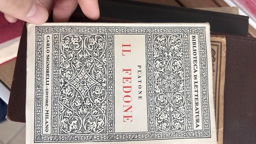 Platone fedone signorelli - fedone,