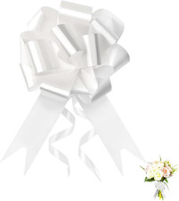 Fiocchi Regalo Grandi,100