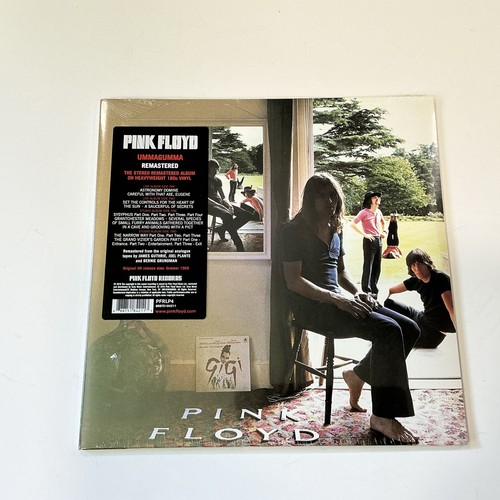 Pink floyd ummagumma - floyd, 180g
