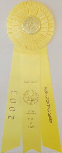 Akc nastro non sportivo grand - akc,