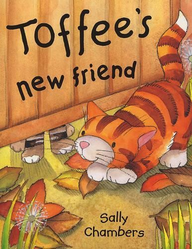 Toffee new friend chambers - new, friend,