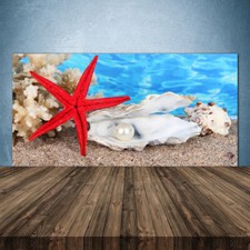 Paraschizzi da Cucina 140x70 Vetro Temperato Conchiglie di stelle marine Natura