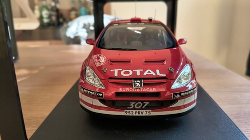 Peugeot 307 rallye monte - 307,