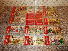 FALCO BIANCO STRISCIA 1°SERIE