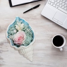  Organizzatore Portagioie