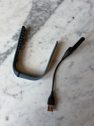Fitbit flex activity - fitbit, tracker