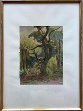 Acquerello Paesaggio Forestale In Provenza Estate 1967 Francia Julie Tesch