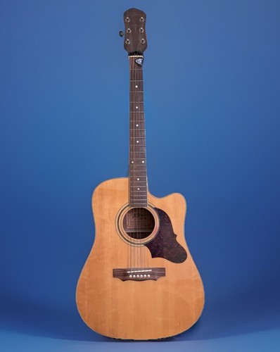 Rich chitarra elettrica - chitarra,