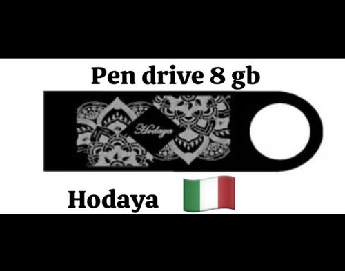 Chiavetta usb 8gb - 8gb, hodaya