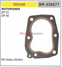 Guarnizione testata DUCAR motopompa DP 25 40 038577