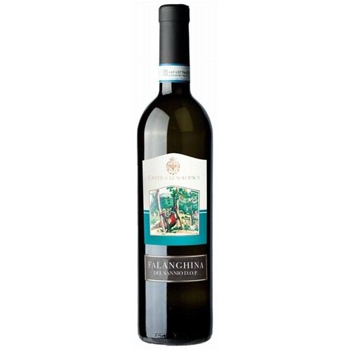 Vino coda volpe sannio - vino,