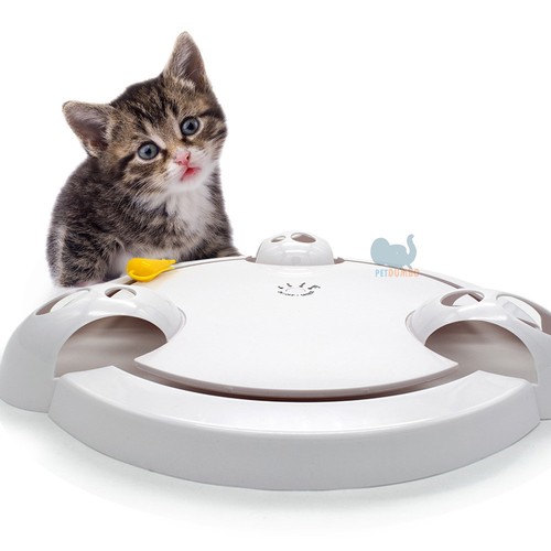Gioco gatto elettronico - gioco,
