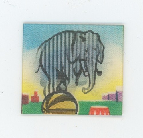 Elefante circo palla - da,