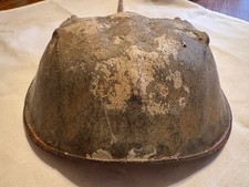 Authentic Atlantic Horseshoe