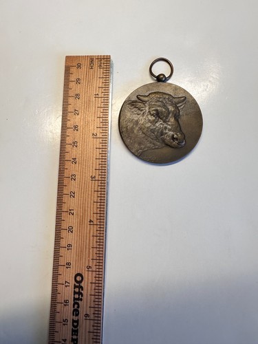 Medaglia bronzo belga nivelles - medaglia,