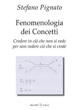 Fenomenologia dei concetti
