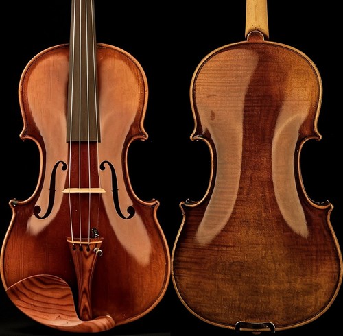 Violino t31 pro - violino, stile