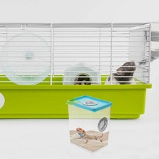  Scatola Allevamento Lucertole