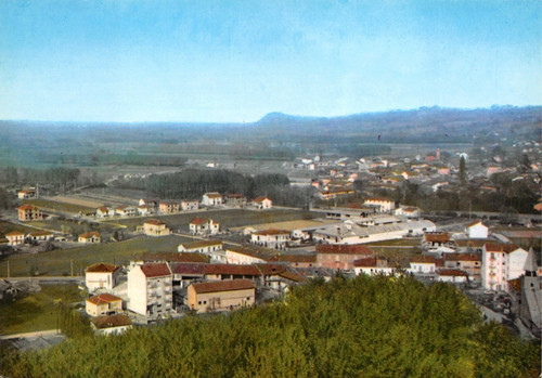 G4302 cartolina cavagnolo - cartolina,