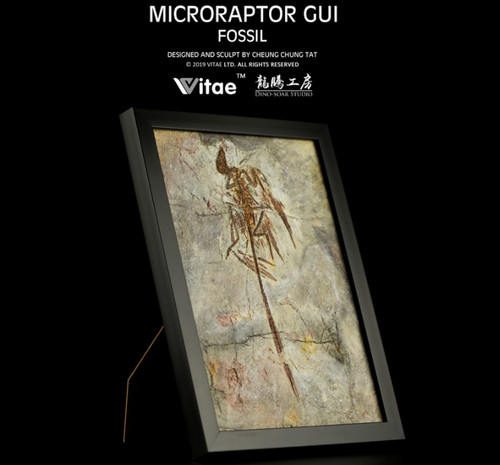 Nuovo vitae - vitae, (microraptor)