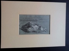 DISEGNO ORIGINALE Rocce con