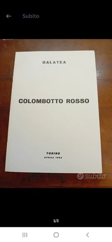 Colombotto rosso - colombotto,
