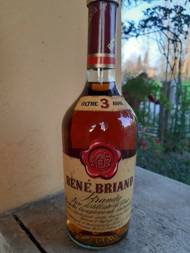 Brandy rene briand - briand, 3