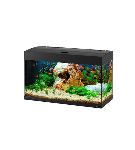 Acquario dubai nero con led - acquario,