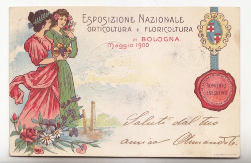 TT321-BOLOGNA-ESPOSIZIONE
