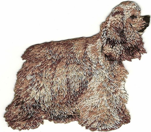 Patch american cocker spaniel - american,