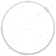 O-RING PORTELLO TIPO BRAVO Ø