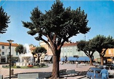 Cartolina -  Postcard - Mede