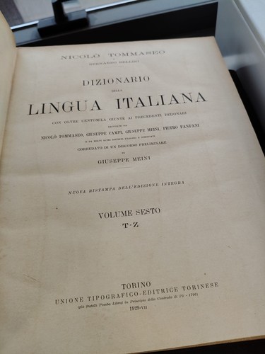 Dizionario della lingua - dizionario,