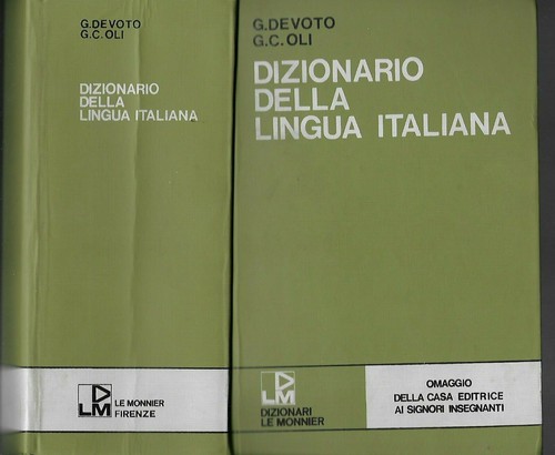 Dizionario della lingua - dizionario,